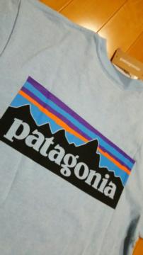 Vipatagonia(p^SjA)sVcsizerȍ