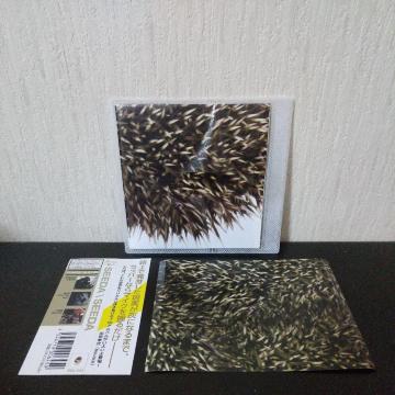 SEEDAwSEEDAxj[g ESSENCIAL NORIKIYO 4WD