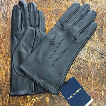 Vi {v܁@rv@fB[X@}Io`m@@ubN@͂21cm ܁@SݓX@Vv@X}[g