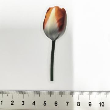 ׽ā����د�߂̺װ�ޭ��ف@375