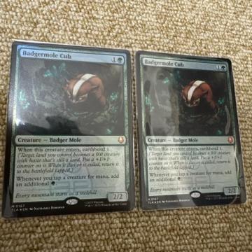 MTG FOIL �A�i�O�}���O���̎e2���Z�b�g