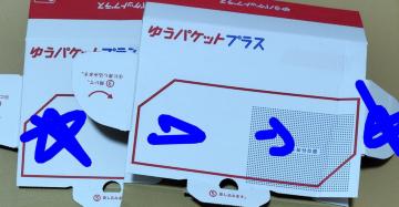 䂤pPbgvX p 2 Vigp 󂠂 {X