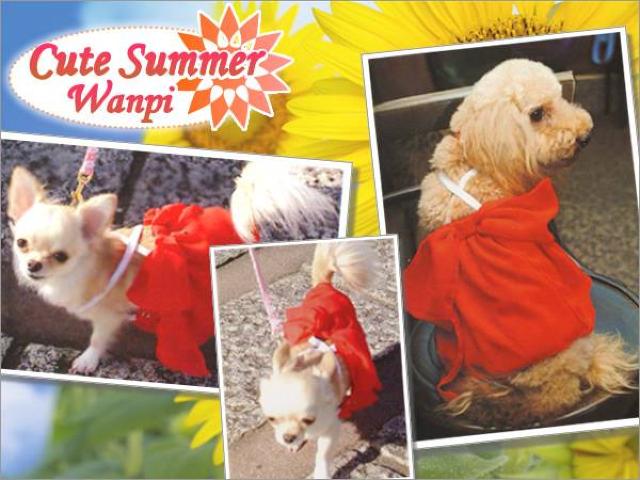Simplers シフォン素材ドレス 2L★新品 〜7kg位 XL LL < ペット/手芸/園芸  Simplers シフォン素材ドレス 2L★新品 〜7kg位 XL LL  < ペット/手芸/園芸の