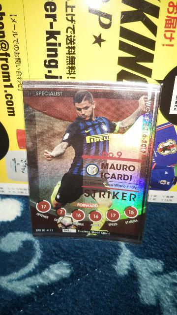 1617 SPE �C�J���f�B  �� �g���[�f�B���O�J�[�h�� 