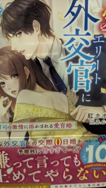 愛はないけれどエリート外交官に今夜抱かれます★紅カオル★ベリーズ文庫 < 本/雑誌 愛はないけれどエリート外交官に今夜抱かれます★紅カオル★ベリーズ文庫 < 本/雑誌の
