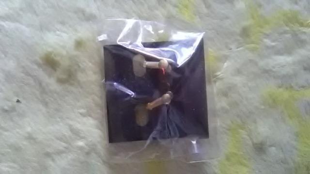 新品*イヤリング < 女性アクセサリー/時計 新品*イヤリング < 女性アクセサリー/時計の