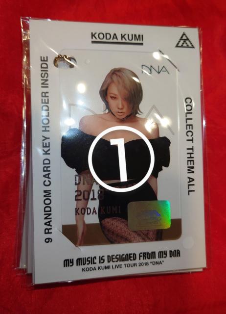 倖田來未 93-39PROJECT EC受注生産限定 DNA カードキーホルダー 4種 < タレントグッズ  倖田來未 93-39PROJECT EC受注生産限定 DNA カードキーホルダー 4種 < タレントグッズの