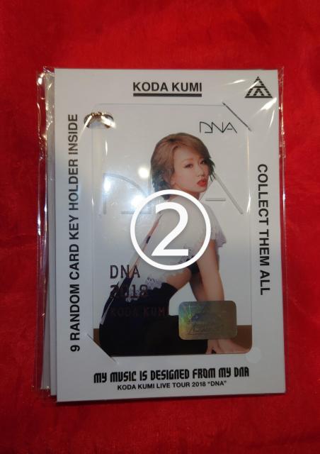 倖田來未 93-39PROJECT EC受注生産限定 DNA カードキーホルダー 4種 < タレントグッズ  倖田來未 93-39PROJECT EC受注生産限定 DNA カードキーホルダー 4種 < タレントグッズの