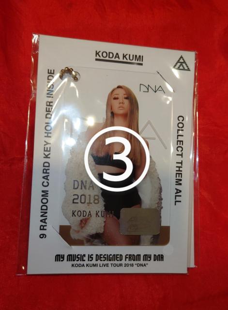 倖田來未 93-39PROJECT EC受注生産限定 DNA カードキーホルダー 4種 < タレントグッズ  倖田來未 93-39PROJECT EC受注生産限定 DNA カードキーホルダー 4種 < タレントグッズの