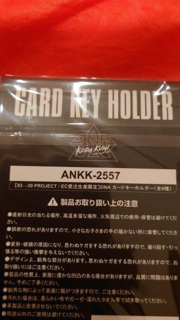 倖田來未 93-39PROJECT EC受注生産限定 DNA カードキーホルダー 4種 < タレントグッズ  倖田來未 93-39PROJECT EC受注生産限定 DNA カードキーホルダー 4種 < タレントグッズの