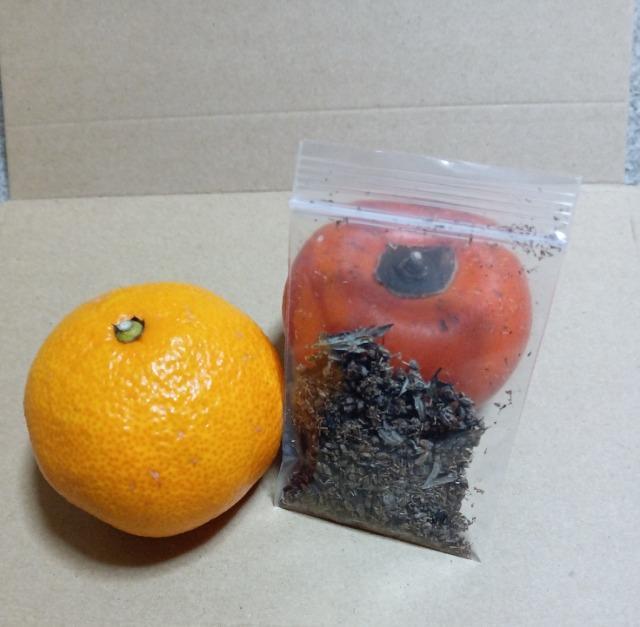 �V�R�����������A���T�C�Y�R�p�b�N�{���S���S�����z���ł��_(^o^)�^ �� �y�b�g/��|/���|�� 