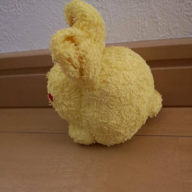 nhCh̃ETMʂ  LbY/xr[ 