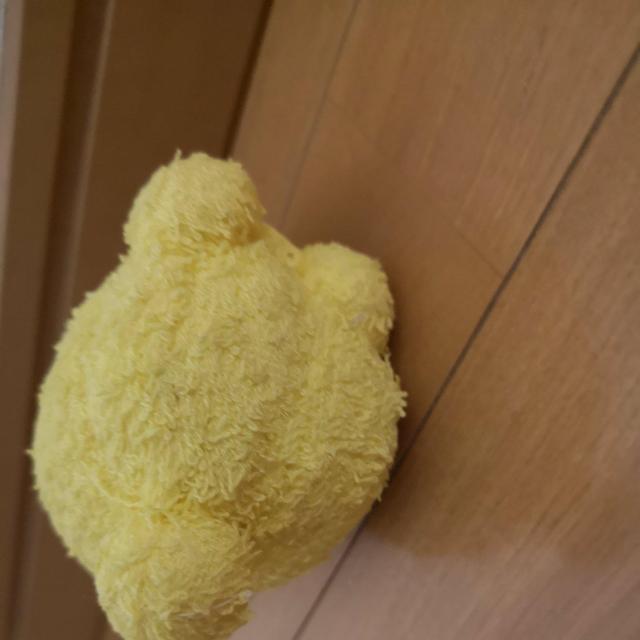 nhCh̃ETMʂ  LbY/xr[ 