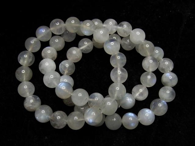 FǍDAAAO[[Xg[10mmuXbgVR6̒a  ANZT[/v 