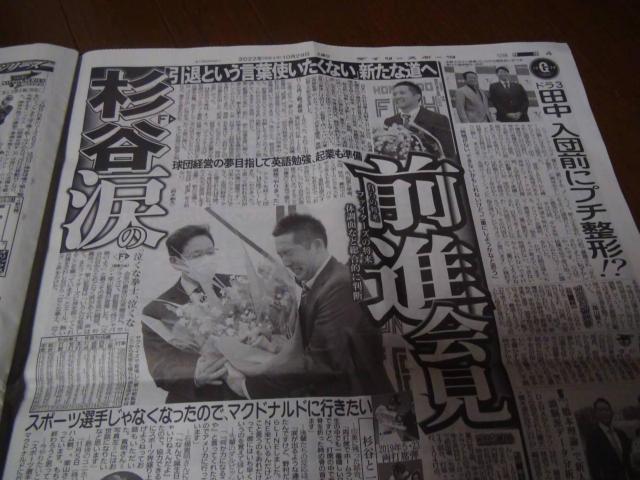 {nJm,Lq̉ВˎEjߕ߂̐VLق!B  zr[ 