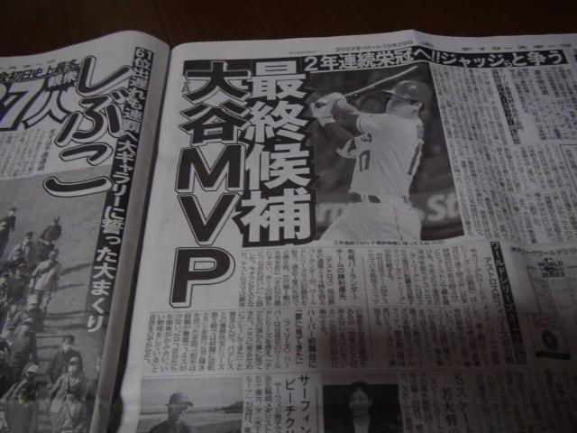 {nJm,Lq̉ВˎEjߕ߂̐VLق!B  zr[ 