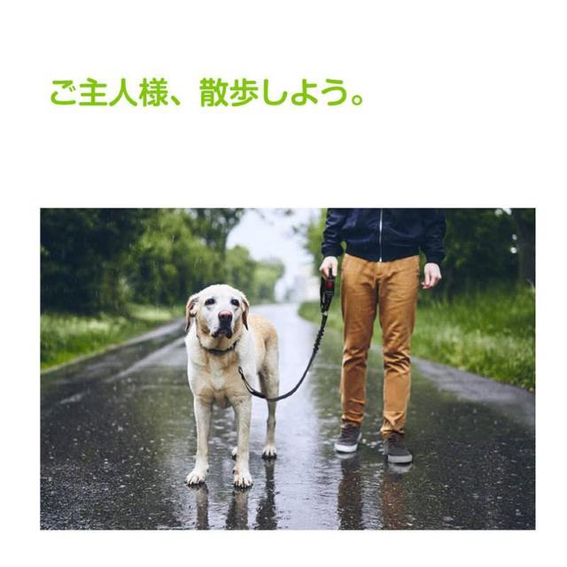 ペット用リード 犬 猫 シートベルト ストラップ ヘッドレストに掛けるだけ お出かけ ドライブ 病院 帰省 散歩 旅行 車 首輪 < ペット/手芸/園芸  ペット用リード 犬 猫 シートベルト ストラップ ヘッドレストに掛けるだけ お出かけ ドライブ 病院 帰省 散歩 旅行 車 首輪 < ペット/手芸/園芸の