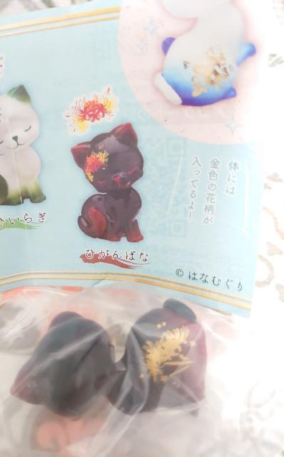 y`OzK`K`wԔLxЂ΂  zr[ 