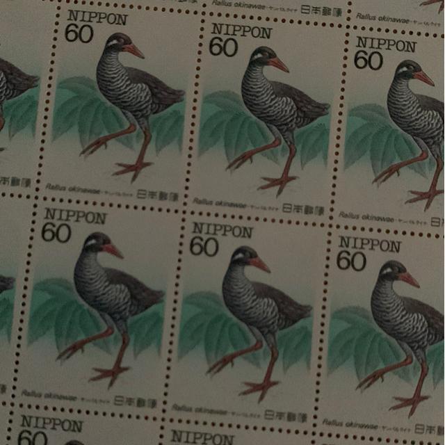 234LO1200~(60~؎)   zr[ 