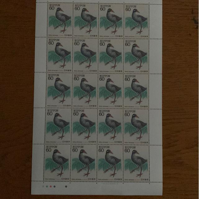 234LO1200~(60~؎)  zr[ 