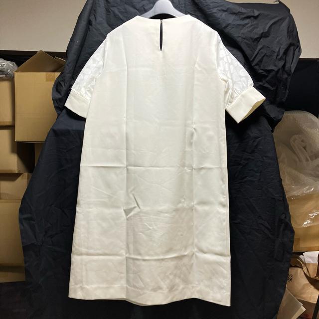 yizyBE NEAT / r[j[gz  G s[X / VlbN / V[X[  t@bV 