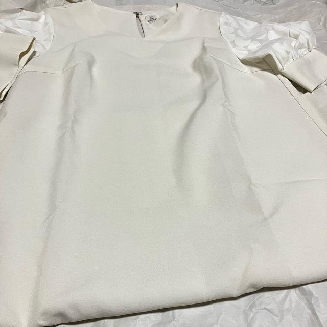 yizyBE NEAT / r[j[gz  G s[X / VlbN / V[X[  t@bV 