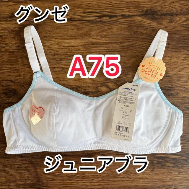 �V�i�^�O�t���@A75 �O���[�@�W���j�A�u�� �z���C�g�i���j���R�����@stage2 �����@���q���������@�K�[���Y�n�[�t�g�b�v  �� �L�b�Y/�x�r�[�� 