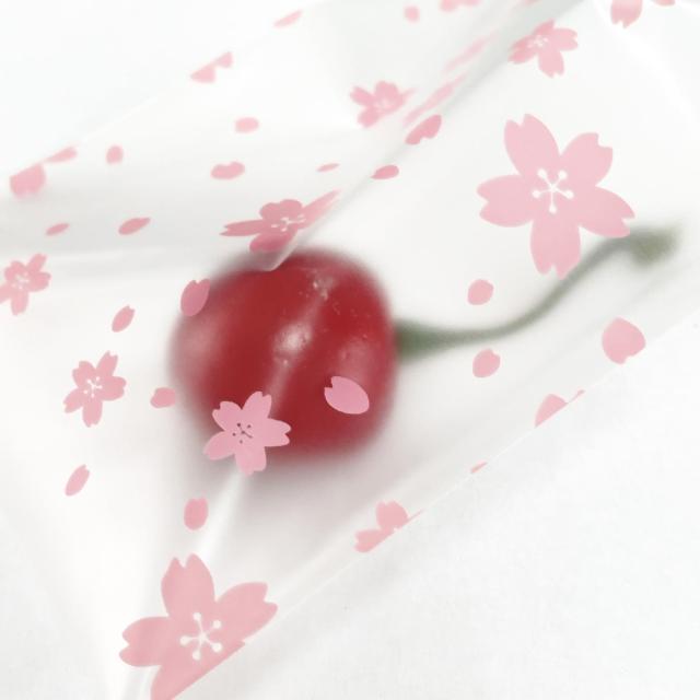 ����OPP��*5���@92 �� �C���e���A/���C�t�� 