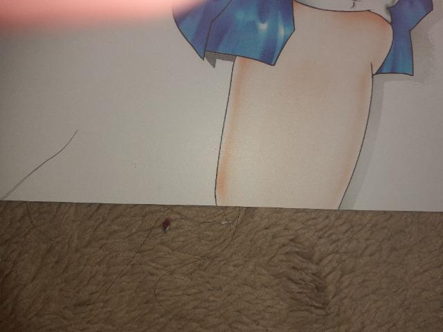 �}�[�L�����[�j�������C���X�g �� �A�j��/�R�~�b�N/�L�����N�^�[�� 