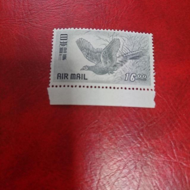 ���������������q��16�K�����g�p�i �� �z�r�[�� 