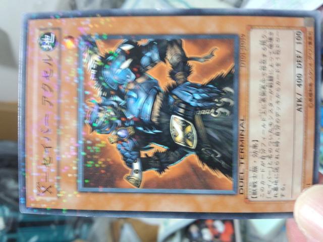 遊戯王【地・X−セイバーアクセル】 < トレーディングカード  遊戯王【地・X−セイバーアクセル】  < トレーディングカードの