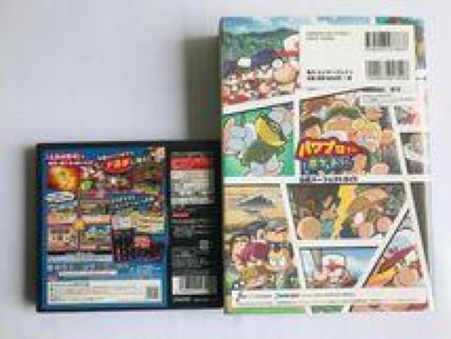 pvN|Pbg14 DS p[tFNgKCh U{Zbg Power Pro Kun Pocket Guide  Q[{/\tg 