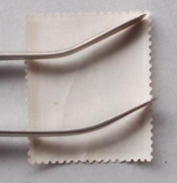 �y���g�p�z1960�N�@����L�O��ي����L�O�@�P�� �� �z�r�[�� 