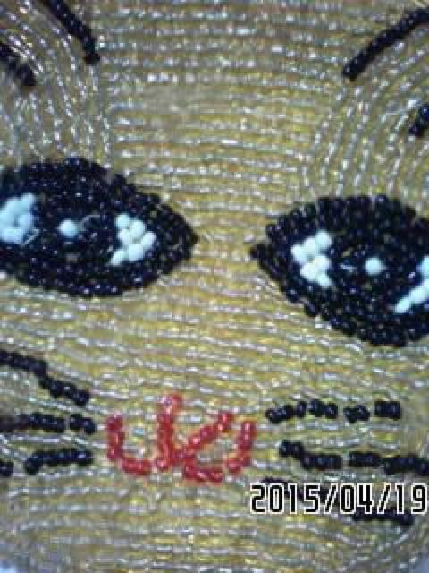 AWAG݁ECG[LbgtFCX^r[YRCP[X  t@bV 