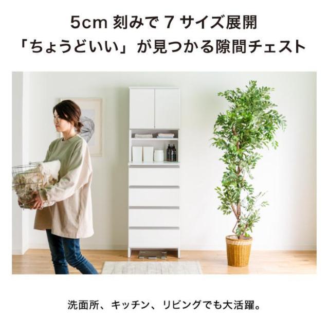 �����h���[�`�F�X�g�@�i�`������ �n�C�^�C�v ��50cm ����180 �� �C���e���A/���C�t�� 