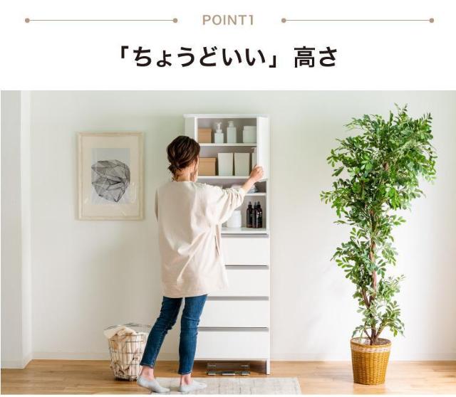 �����h���[�`�F�X�g�@�i�`������ �n�C�^�C�v ��50cm ����180 �� �C���e���A/���C�t�� 