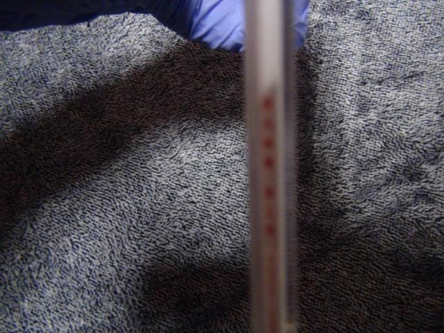 Ŗь ߂Ɣ CD !B  CD/DVD/rfI 