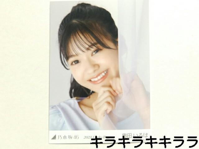 sNewtT؍46/ć2023N*Lucky Bag[ʐ^]   ^gObY 