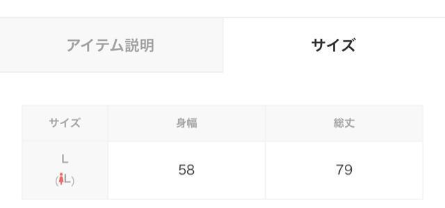 新品タグ付き 異素材切り替えフリルヘムチュニック インシード L < 女性ファッション  新品タグ付き 異素材切り替えフリルヘムチュニック インシード L < 女性ファッションの