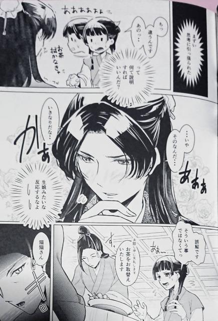 薬屋のひとりごと同人誌「今宵ふたりで」《壬氏×猫猫》:コミック