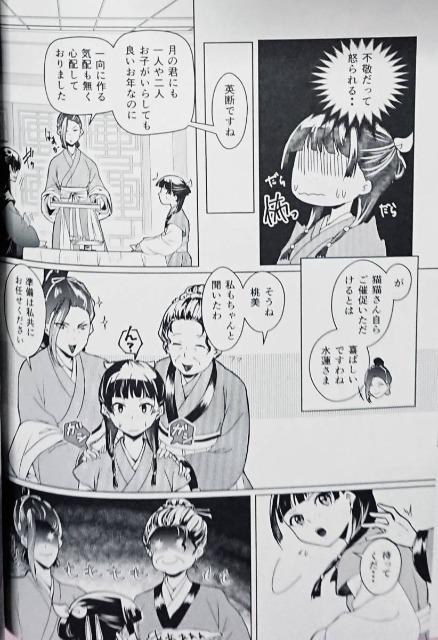 薬屋のひとりごと同人誌「今宵ふたりで」《壬氏×猫猫》:コミック