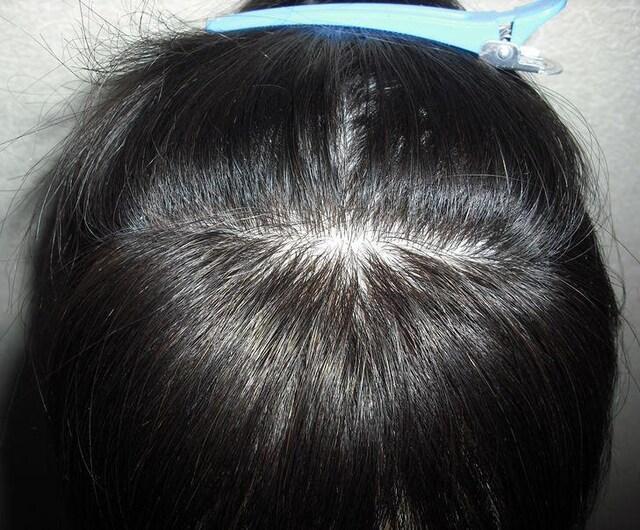 Vi@lс@A@Jo[ 傫ڃTCY@RF  t@bV 