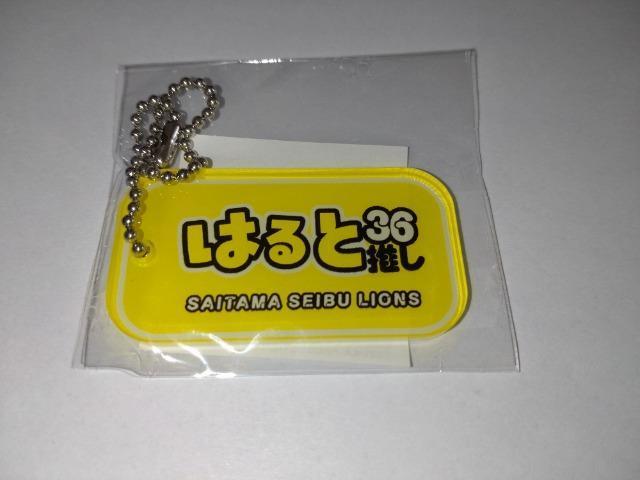 ʐCIY2024 36 Rczē ANL[z_[ K`̔   W[/X|[c 