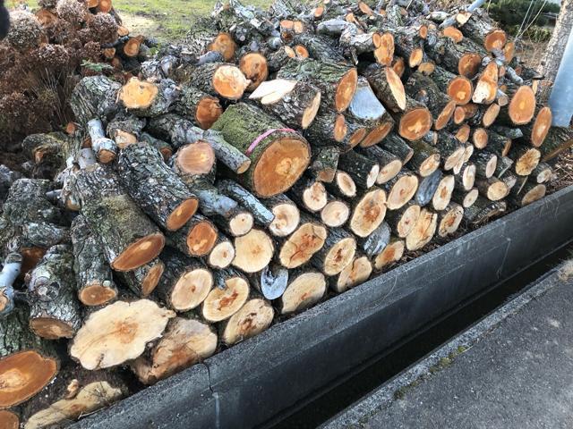 NO1 薪用梨の玉切り350Kg軽トラ1台 受取限定(福島県福島市) < インテリア/ライフ  NO1 薪用梨の玉切り350Kg軽トラ1台 受取限定(福島県福島市)  < インテリア/ライフの