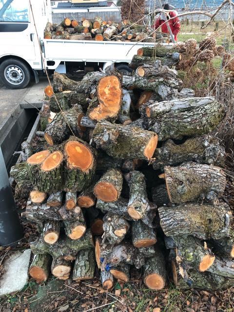 NO1 薪用梨の玉切り350Kg軽トラ1台 受取限定(福島県福島市) < インテリア/ライフ  NO1 薪用梨の玉切り350Kg軽トラ1台 受取限定(福島県福島市) < インテリア/ライフの