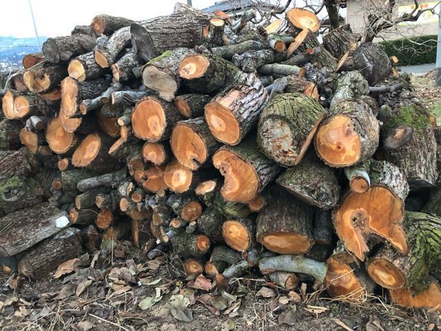 NO1 薪用梨の玉切り350Kg軽トラ1台 受取限定(福島県福島市) < インテリア/ライフ  NO1 薪用梨の玉切り350Kg軽トラ1台 受取限定(福島県福島市) < インテリア/ライフの