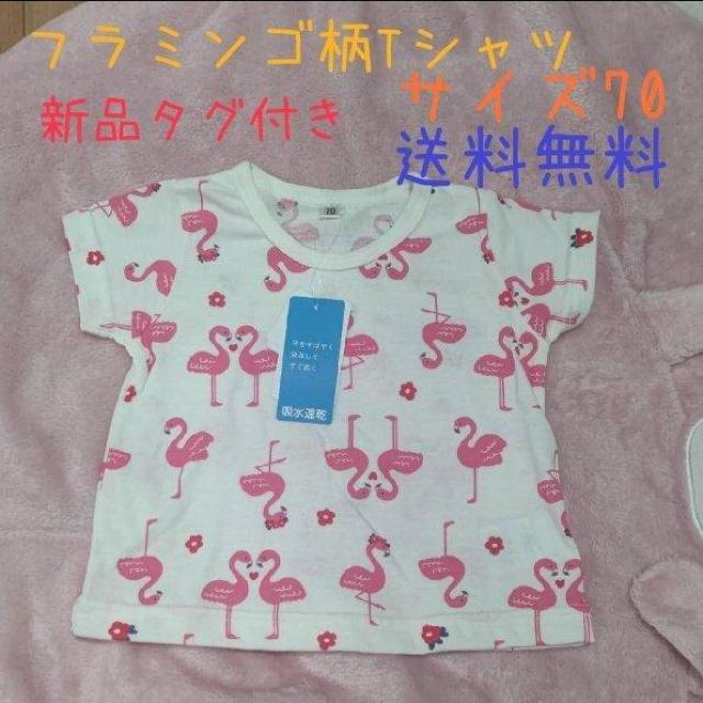 Vi^Ot t~STVc TCY70  z   LbY/xr[ 