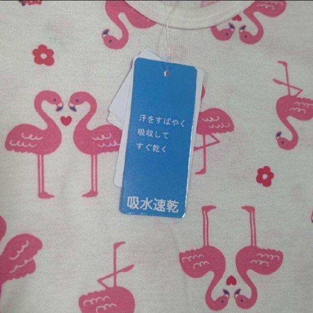 Vi^Ot t~STVc TCY70  z  LbY/xr[ 