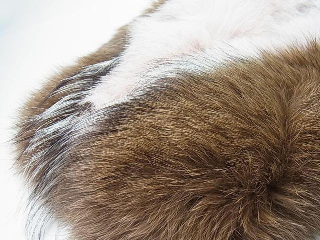 500~X^KiEVilSAGA FURS TKt@[tHbNXє}t[^݊iNbvtbN^ampjXgP_  t@bV 