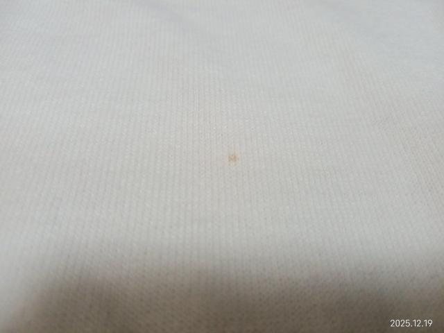 SOFFE SHIRTS ラグランスリーブ Tシャツ YOUTH LARGE < 男性ファッション SOFFE SHIRTS ラグランスリーブ Tシャツ YOUTH LARGE < 男性ファッションの